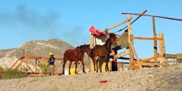 Más de mil detenciones y casi 2 mil vehículos asegurados en Tamaulipas en 11 meses