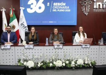 Transparencia en riesgo: InfoNL podría quedar paralizado si no hay presupuesto para 2026