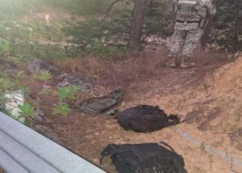 Inhabilitan áreas de concentración para fabricar droga en Sinaloa