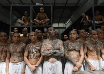 Justicia en El Salvador: Históricas penas de cárcel para miembros de la MS-13