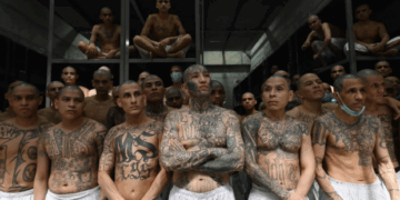 Justicia en El Salvador: Históricas penas de cárcel para miembros de la MS-13