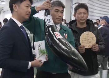«Subasta japonesa rompe récord con un pez limón vendido por más de 22 mil euros»