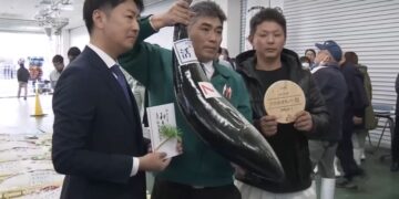 «Subasta japonesa rompe récord con un pez limón vendido por más de 22 mil euros»