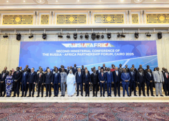 Egipto exige una reforma del Consejo de Seguridad de la ONU para empoderar a África