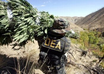 🚨 Ex-agente de la DEA, acusado de colaborar con el Cártel Jalisco Nueva Generación (CJNG)