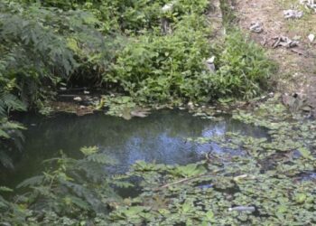 Aguas Negras de Aguakan Atrapan a Vecinos de Villas Playa Blanca en Cancún