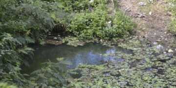Aguas Negras de Aguakan Atrapan a Vecinos de Villas Playa Blanca en Cancún