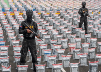 ¿Alerta de Narcotráfico en el Corazón de Europa? El Caso de Bélgica