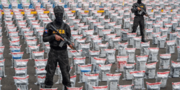 ¿Alerta de Narcotráfico en el Corazón de Europa? El Caso de Bélgica