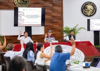 Aprueban descuentos y estímulos fiscales para el pago del Predial 2026 en Playa del Carmen