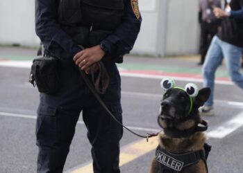 Autoridades intervienen en operativos por reventa y comercio informal en concierto de Bad Bunny