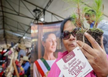 «Sembrando Vida Purépecha» integra a más de 5 mil personas al desarrollo comunitario