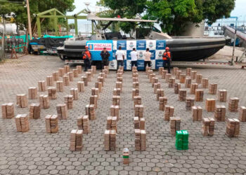 Cárteles utilizan nuevas técnicas de camuflaje para el tráfico de drogas