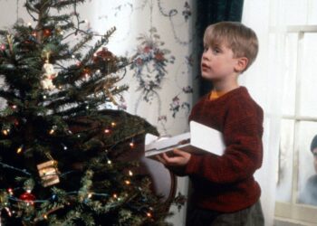 El estudio estadístico sobre ‘Mi pobre angelito’ que analiza el olvido de Kevin