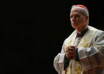 El papa León XIV lanza un fuerte mensaje a los ricos sobre el cuidado de la Tierra y de los pobres