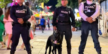 Estefanía Mercado refuerza la seguridad en Playa del Carmen con blindaje total