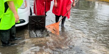Gobierno de Estefanía Mercado activa Operativo Tormenta ante lluvias en Playa del Carmen