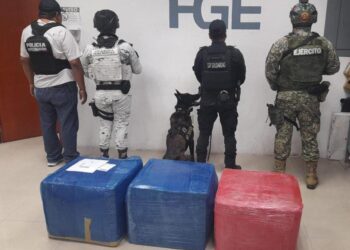 Gran aseguramiento de droga en paquetería de Playa del Carmen