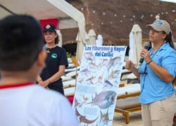 Concluye con éxito la última jornada del programa de turismo social “Mi Primera Vez en el Mar 2025”