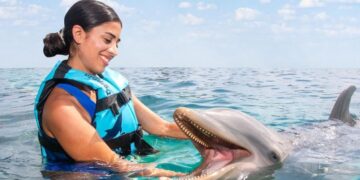 The Dolphin Company celebra 31 años y alcanza más de 21 millones de visitantes con experiencias educativas y de conservación