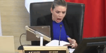 La Diputada Sorprendida por las 100 Páginas del Dictamen