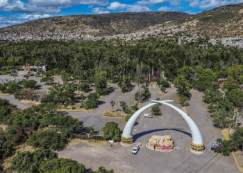 La PROFEPA ordena la clausura del Zoológico de León por falta de seguridad