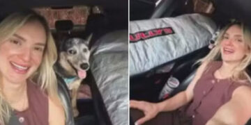La lealtad de un perro conmueve tras un trágico accidente en Brasil