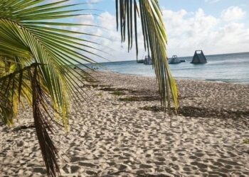 Proyecto de club de playa de Royal Caribbean en Cozumel genera rechazo ciudadano ya 2 mil 755 firmas