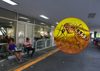 Reporta Quintana Roo reducción en casos de dengue del 75% en 2025