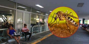 Reporta Quintana Roo reducción en casos de dengue del 75% en 2025
