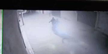 #VIDEO.Sicarios en Moto Ejecutan Ataque Armado Contra Viviendas de sindica y regidoras