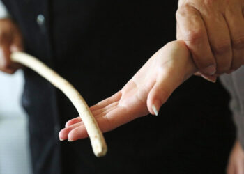 Singapur implementará castigos físicos para frenar las ciberestafas