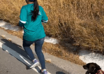 Un Perrito Viajero se Une a Corredores de Calmeca