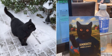 Un curioso gato de Lituania pone en jaque la reforma de la televisión pública