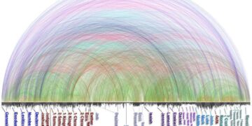 Unidad de la Biblia confirma una sola historia a través de más de 63 mil conexiones