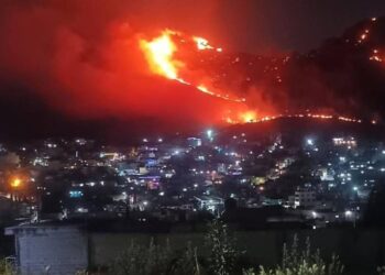 Controlan Fuego en la Sierra de Guadalupe Tras Consumir Dos Hectáreas