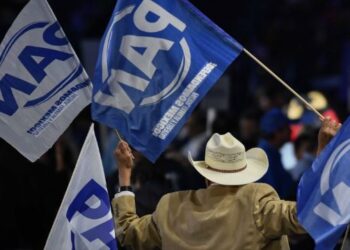 Violencia de género: Tribunal revoca resolución del PAN y ordena nuevas medidas»