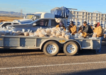 Productores Anuncian Bloqueos Masivos: Exigen Reserva Estratégica Alimentaria