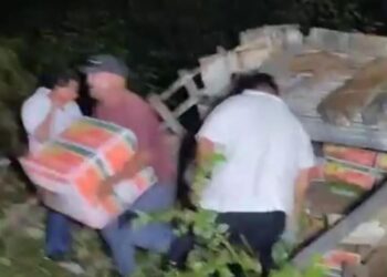Rapiñan tráiler cargado de plátanos tras volcadura en la entrada de Bacalar