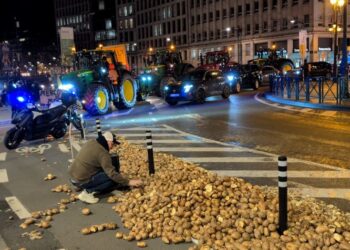 Papas antidisturbios se convierten en símbolo de protestas en Bruselas