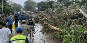 Se desbordan ríos en región de Los Tuxtlas y causan graves daños
