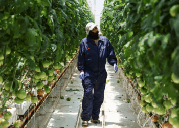 Sader amplía plazo para el Programa de Energía para el Campo en Zacatecas