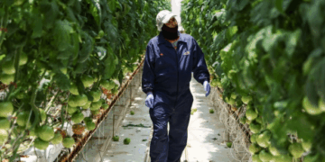 Sader amplía plazo para el Programa de Energía para el Campo en Zacatecas