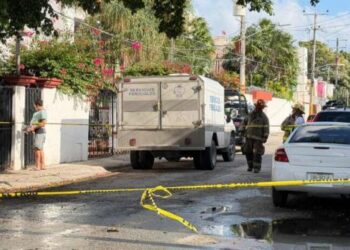 Sargazo en Quintana Roo podría intensificarse por franja detectada en el Atlántico