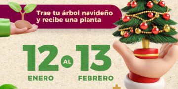 Campaña de Acopio de árboles de Navidad en Chetumal: Cámbialo por una vida verde