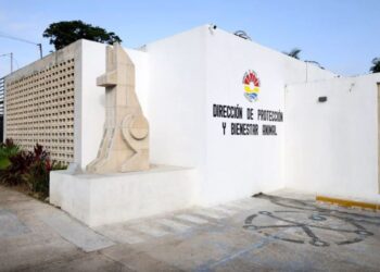 «Reabre el Centro de Bienestar Animal de Cancún tras trabajos de remodelación»