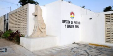 «Reabre el Centro de Bienestar Animal de Cancún tras trabajos de remodelación»