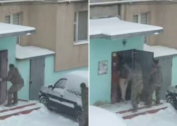 VIDEO «Reclutamiento en Ucrania genera polémica tras incidente con una menor en Rovno»