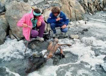 «Virus del papiloma humano: hallazgo en momias revela un origen mucho más antiguo de lo que se creía»