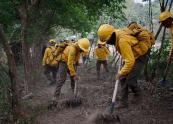 Chiapas refuerza acciones ante la temporada de incendios forestales